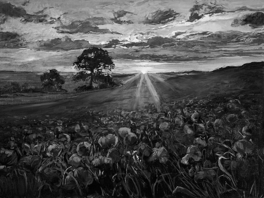 Sunset In The Field 1