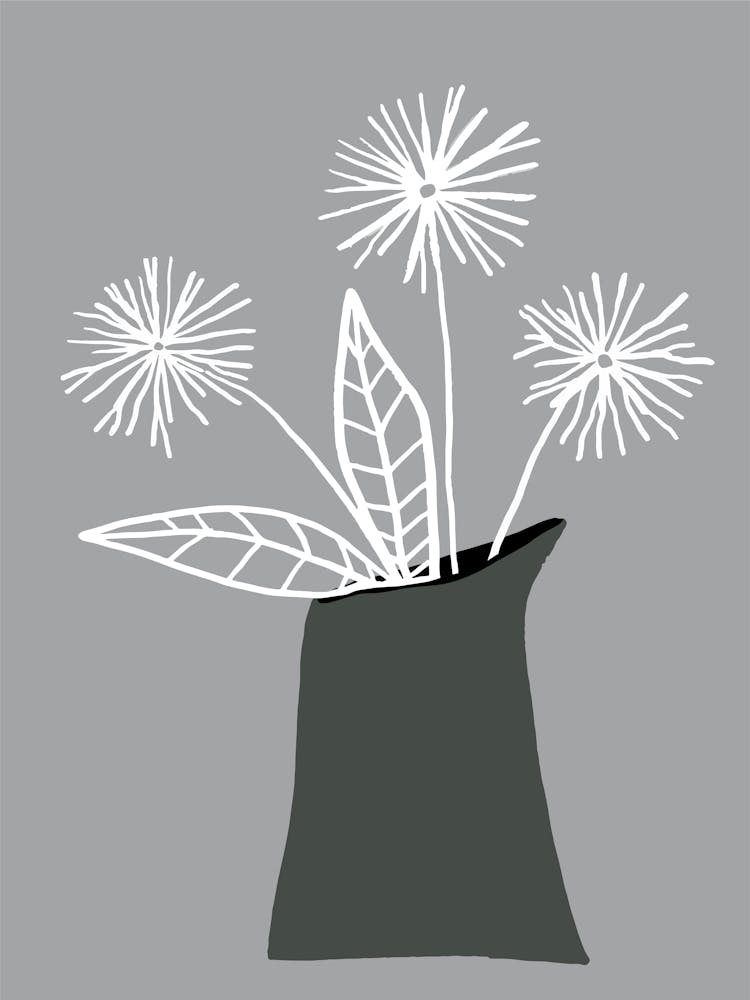 Dandelion 1
