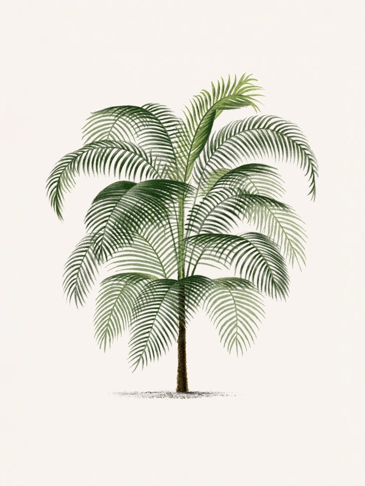 Vintage Palm Tree