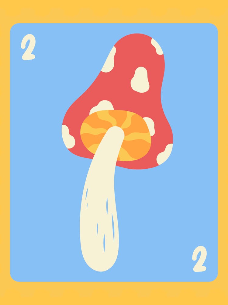 Champignon 2
