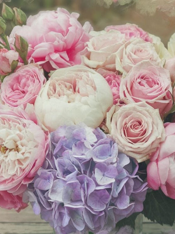 Lush Pink Peonies and Hydrangeas - Floral