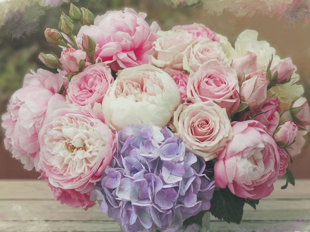 Lush Pink Peonies and Hydrangeas - Floral