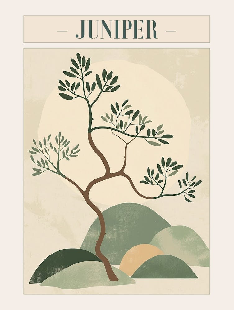 Juniper Tree Minimal Japandi Illustration 2 Poster