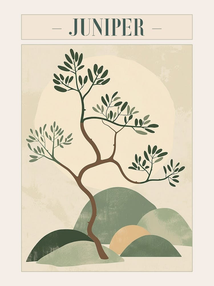 Juniper Tree Minimal Japandi Illustration 2 Poster