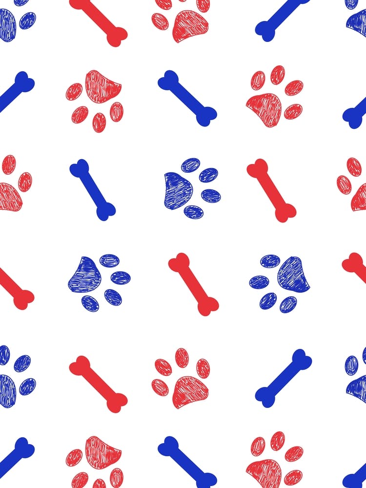 Blue And Red Paws