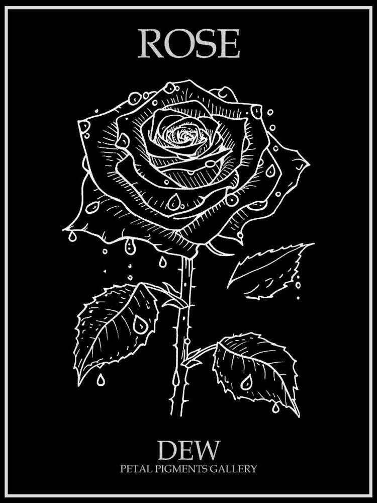 Rose Dew Line Drawing 1 Poster Inverted