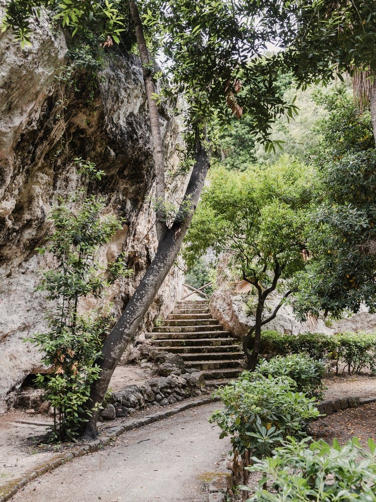 Botanical Garden, Italy