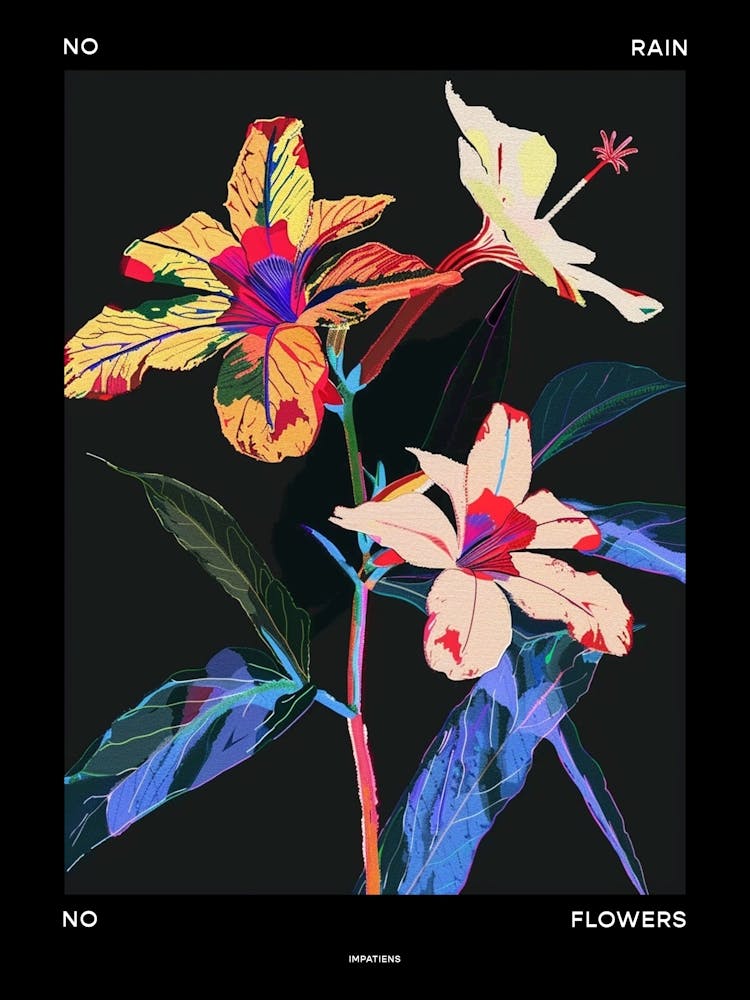 Kein Regen, keine Blumen Poster Impatiens 1