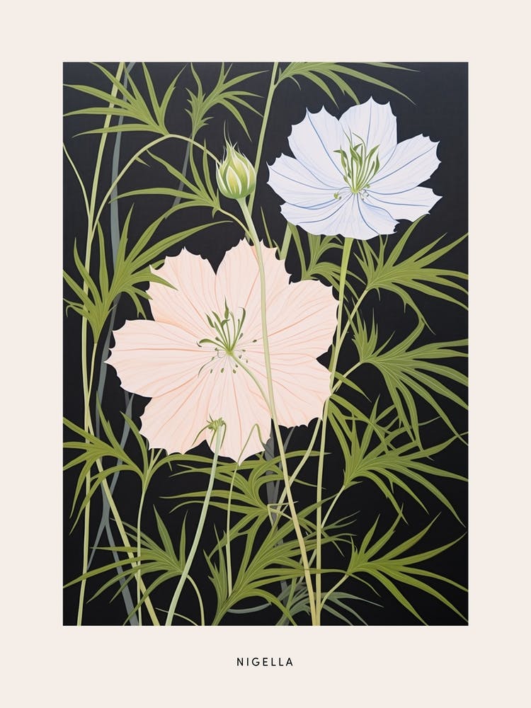 Flower Illustration Love In A Mist Nigella 1 Poster