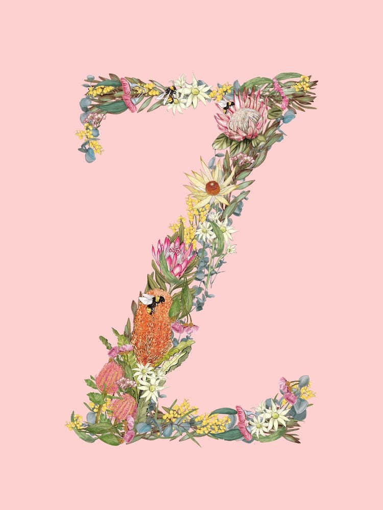 Z Pink Alphabet Letter