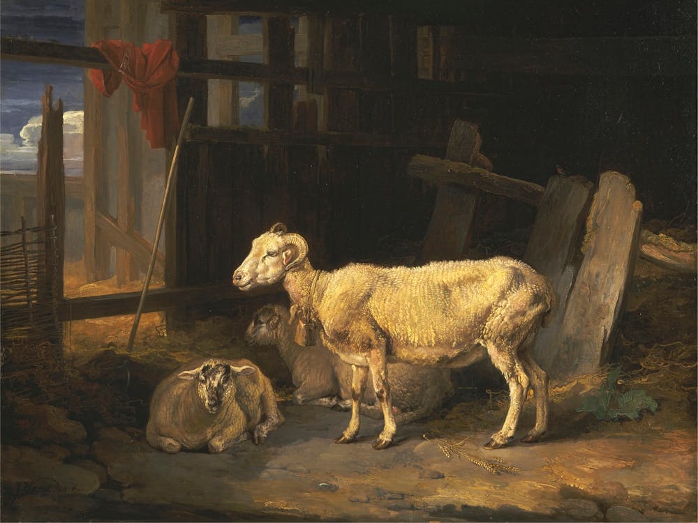 Heath Ewe And Lambs, James Heath