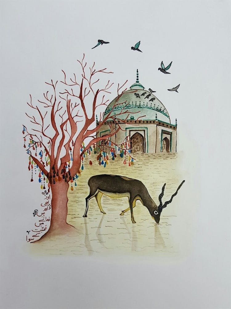 Amna Kiran.      Do Not Ask Me For That Love 2