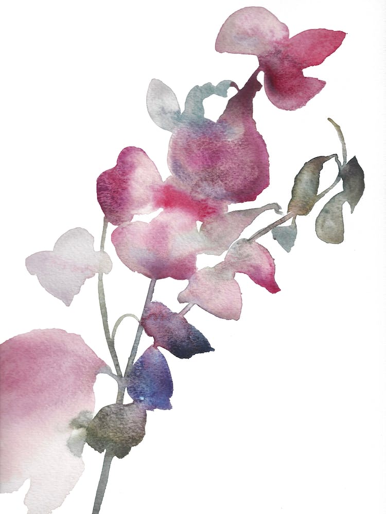 Botanical Study 11