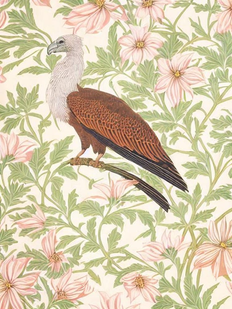 Vulture William Morris Style Bird
