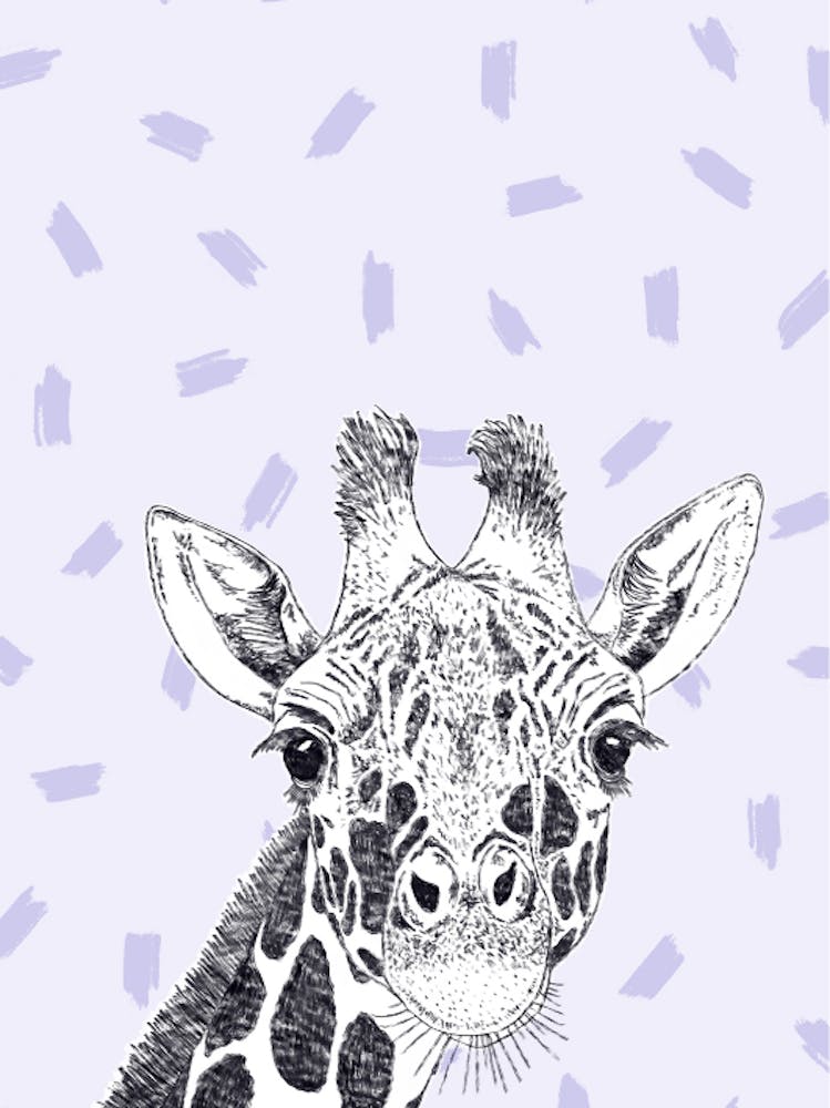 Giraffe 1