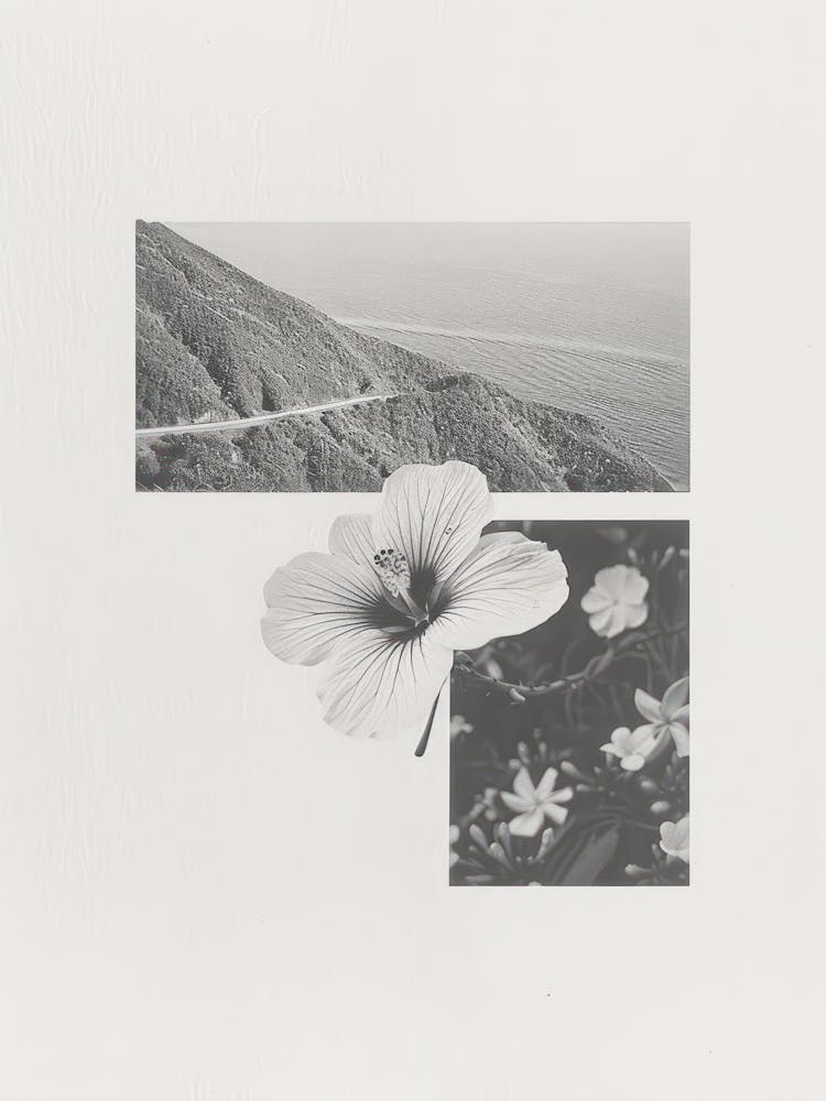 Hibiscus Flower Photo Collage 2