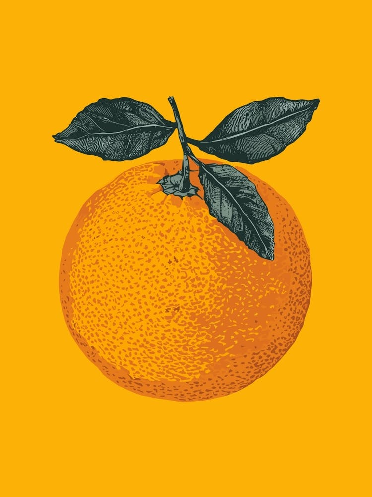 Orange Fruit