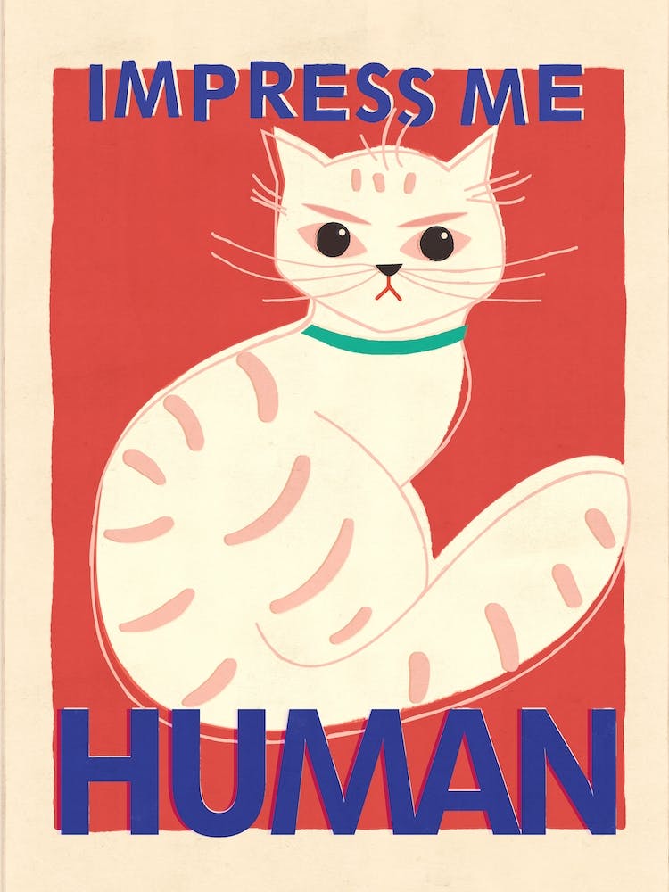 Impress Me Human Cat