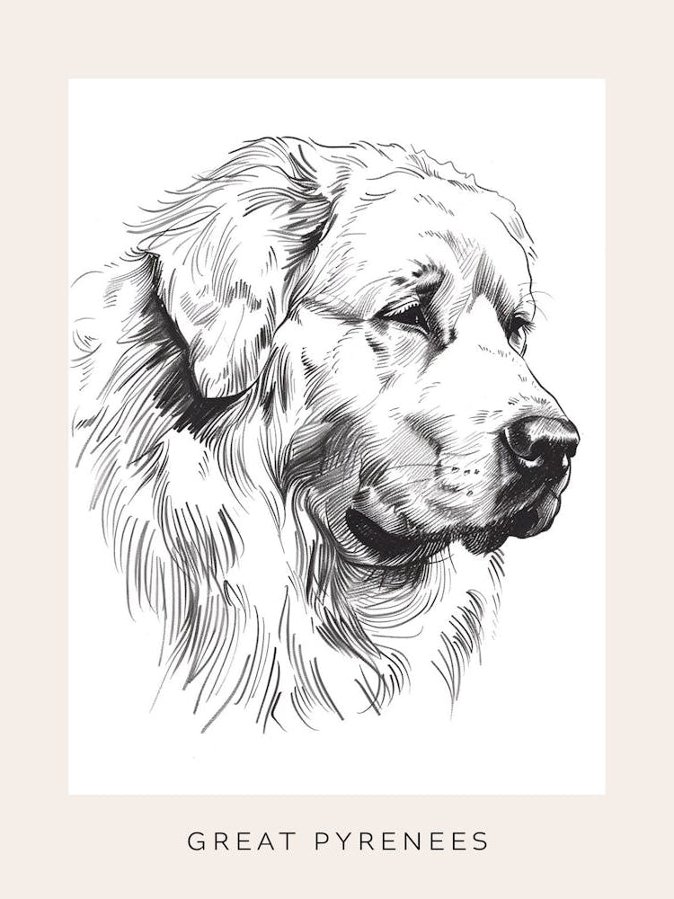 Great Pyrenees Dog Line Sketch Poster
