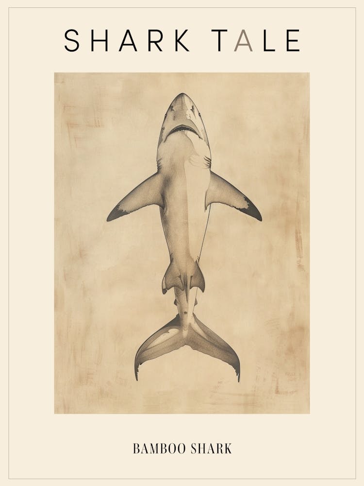 Bamboo Shark Vintage Illustration 5 Poster