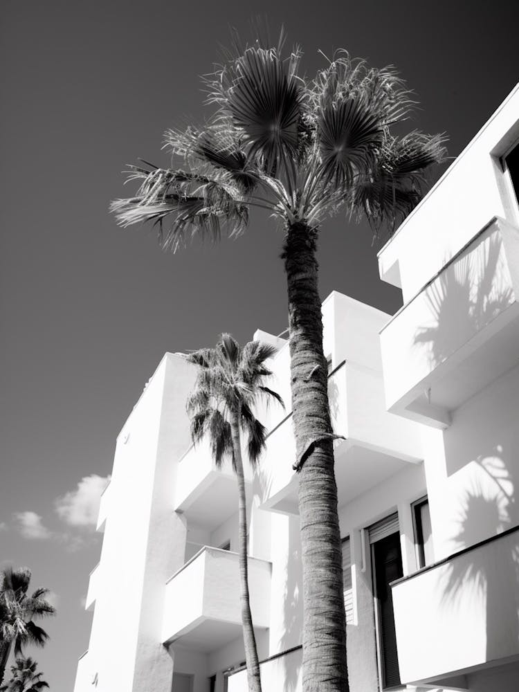 Ibiza, Spain, Mediterranean Black And White Photography Analogue 4