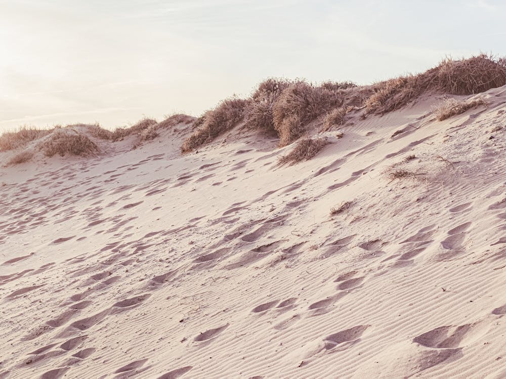 Sand Dunes Travel Poster_2251405