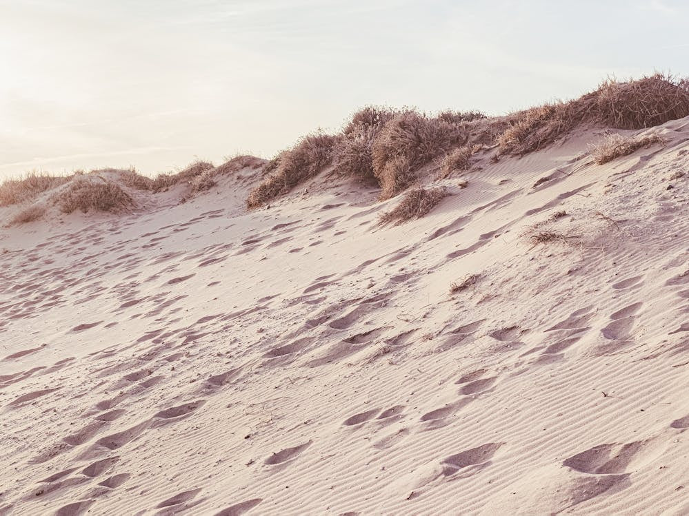 Sand Dunes Travel Poster_2251405