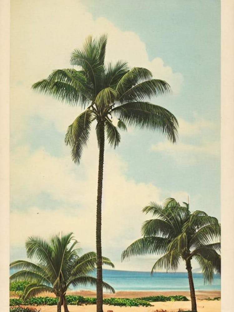 Ka'Anapali Beach Maui Hawaii Vintage