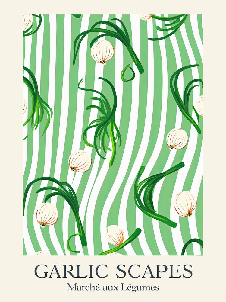 Marche Aux Legumes Garlic Scapes Summer Illustration 5