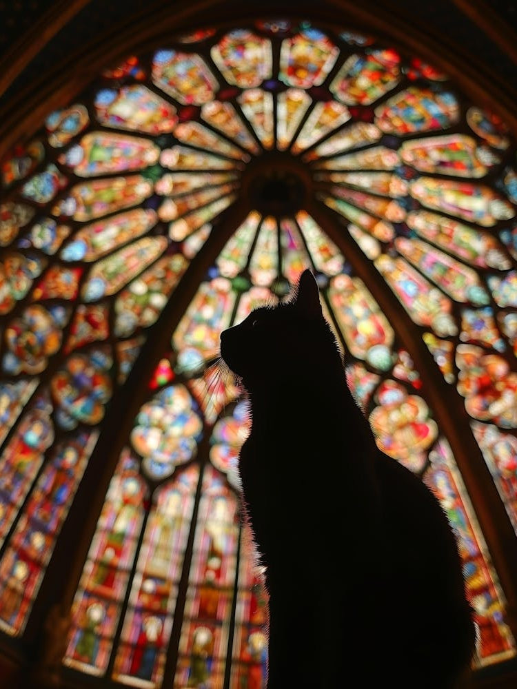 Cat In Front Of Stained Glass Window 1