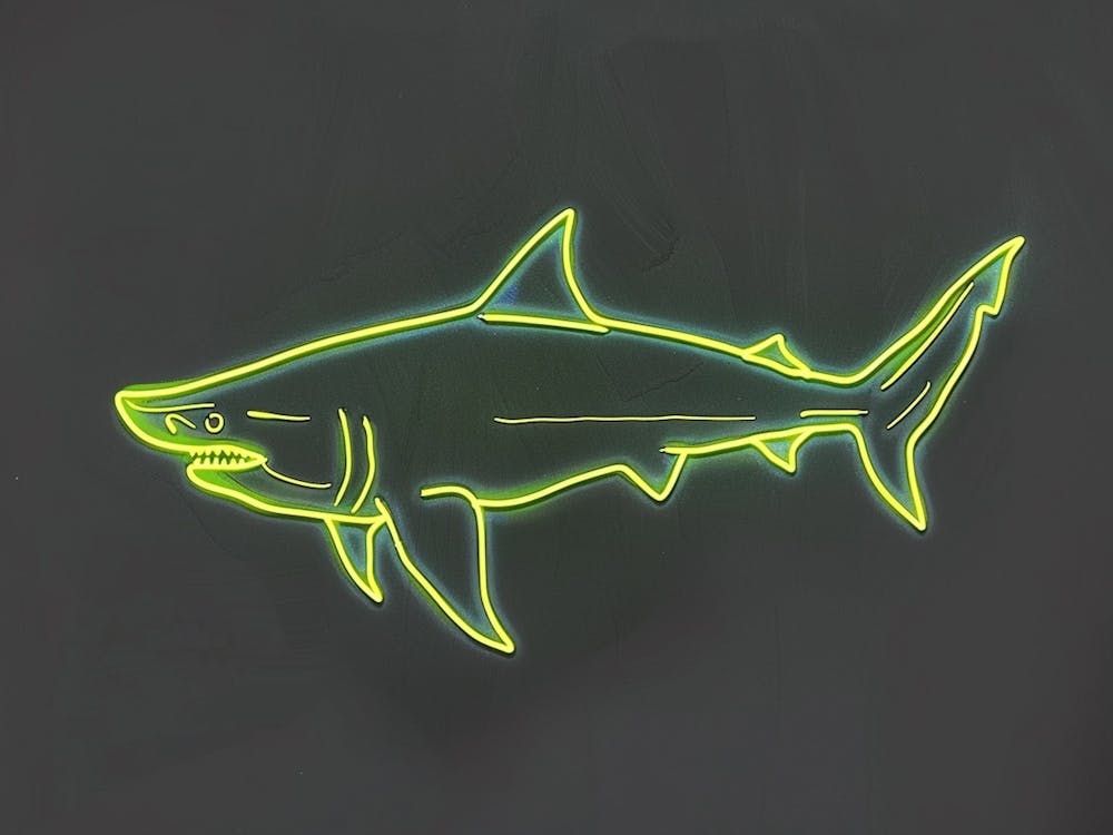 Neon Lime Dogfish Shark 4