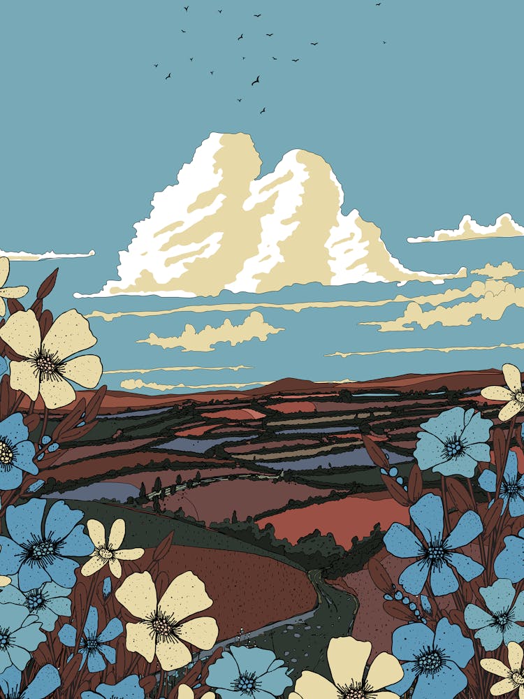 Scotland Landscape In The Summer