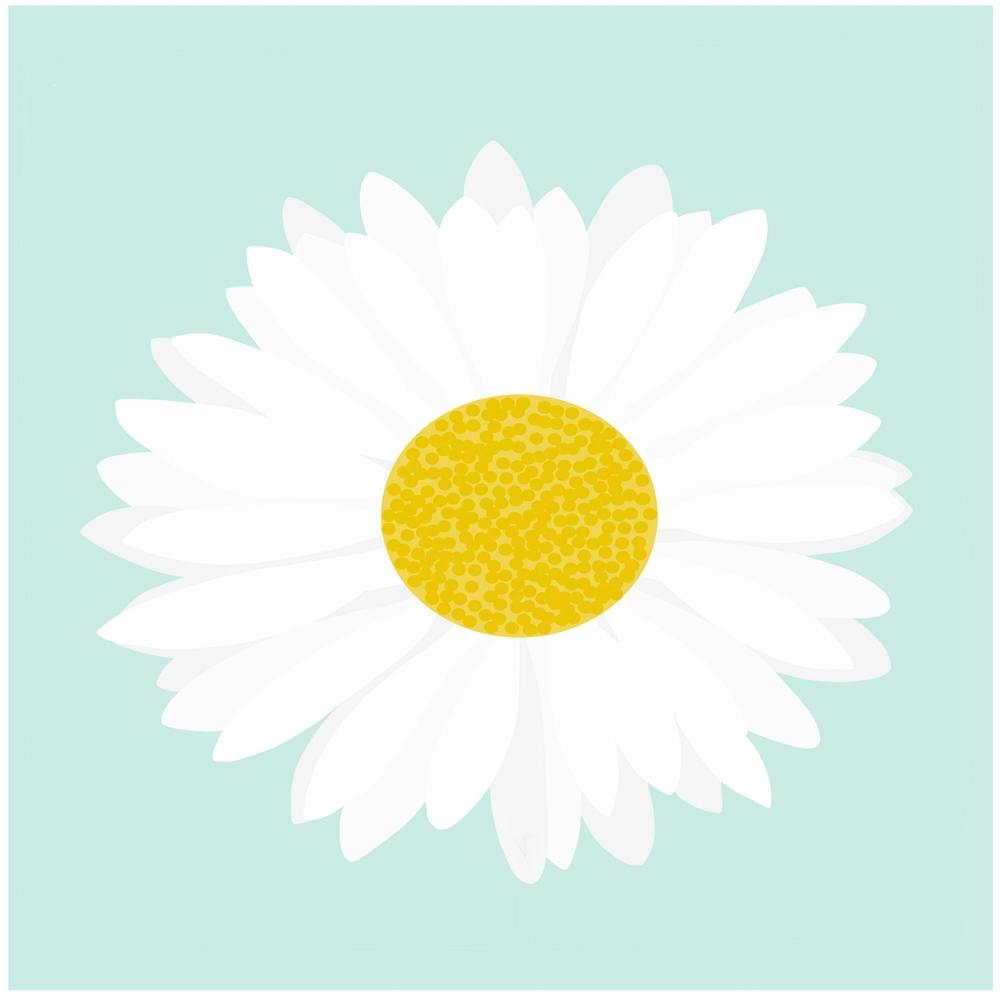 Daisy Flower