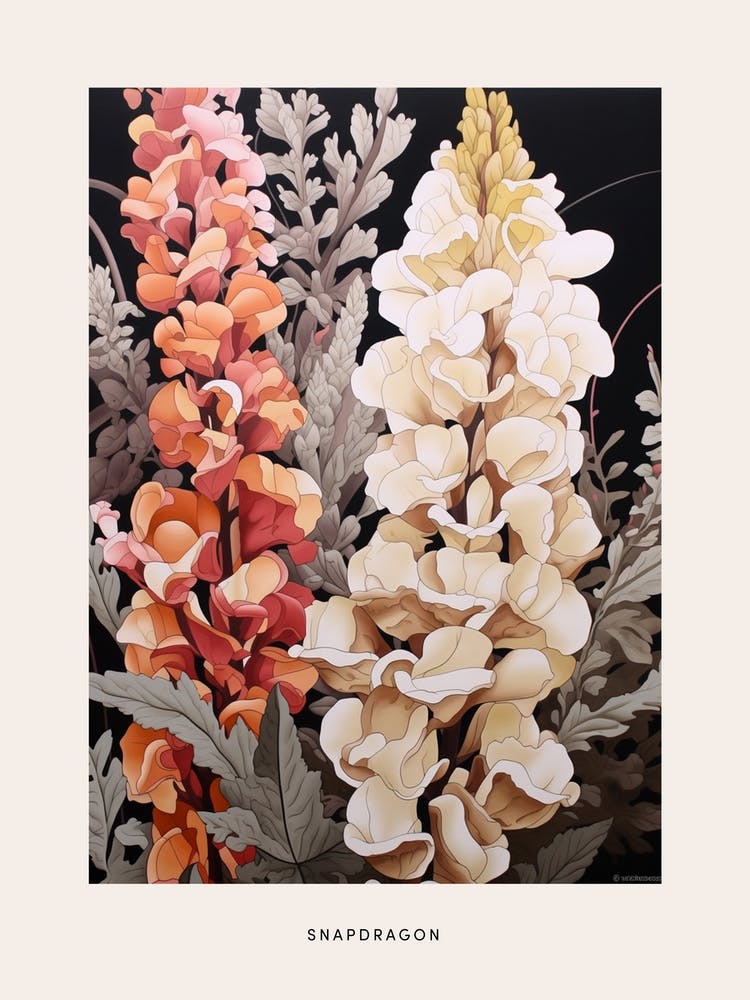 Flower Illustration Snapdragon 3 Poster