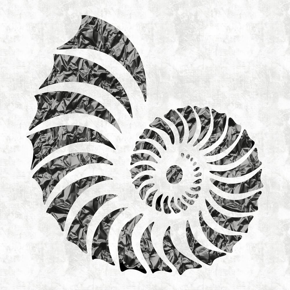 Nautilus Shell