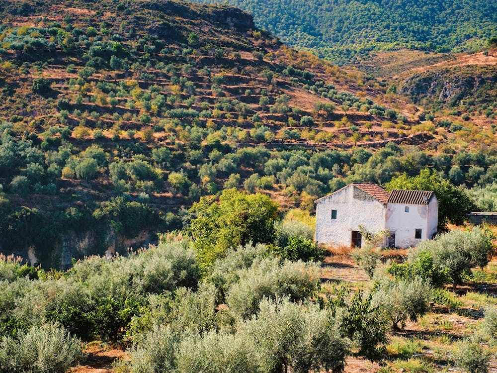 The Spanish Farmhouse