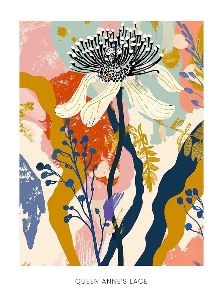 Farbenfrohe Blumenillustration Poster Queen Annes Lace 1