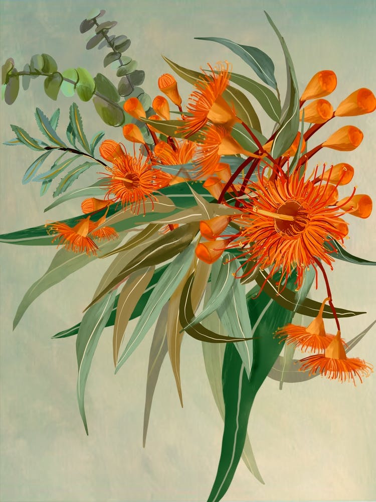 Orange Eucalypt Flowers And Leaves