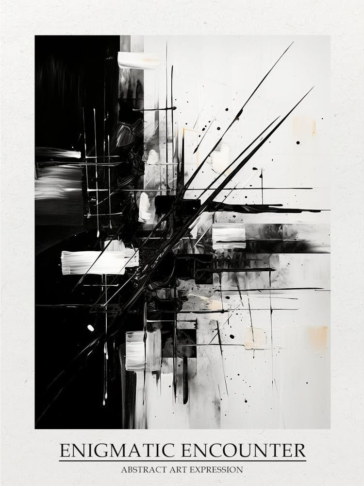Enigmatic Encounter Abstract Black And White 2 Poster