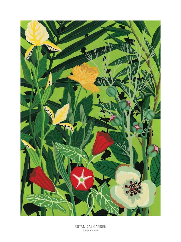 Botanical Garden poster 30x40cm 2