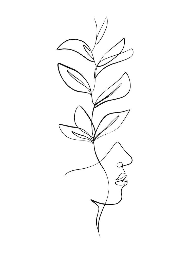 Face Line Drawing