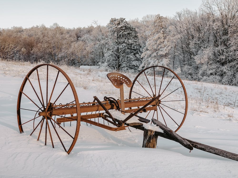 Winter Horse Wagon
