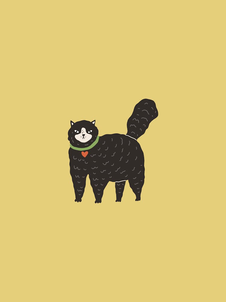 Black Cat