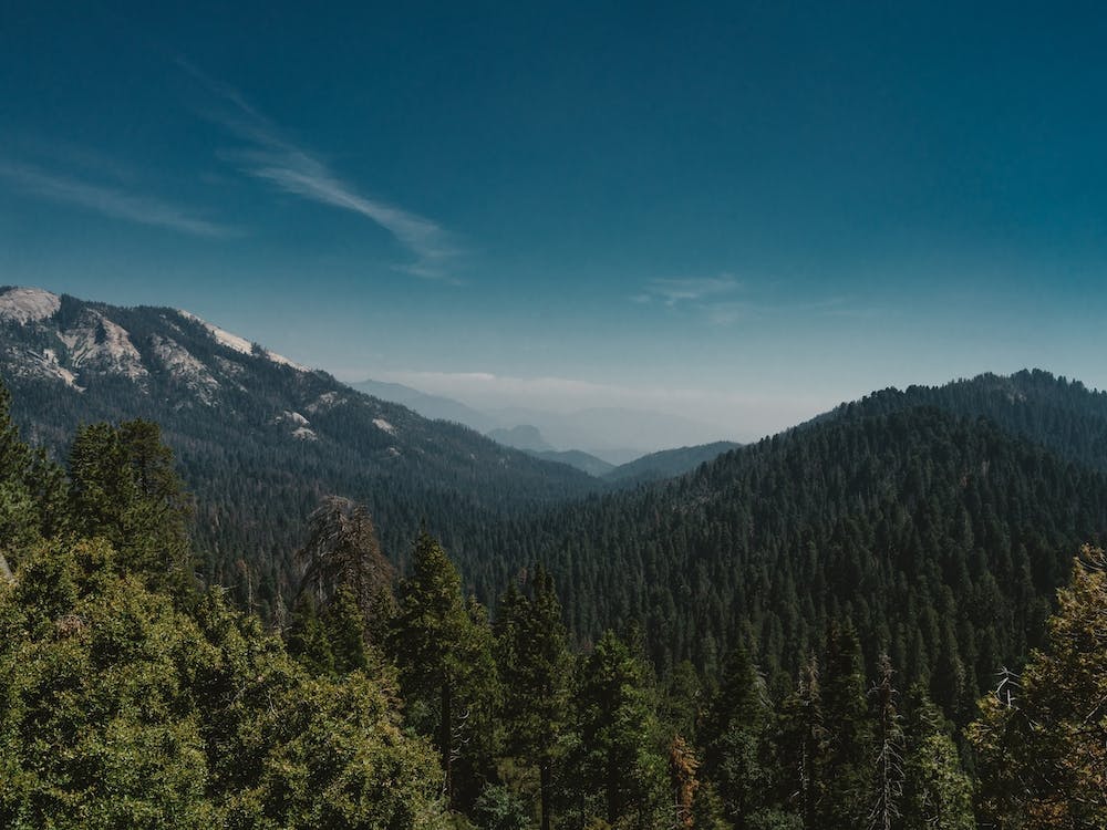 Sequoia National Park