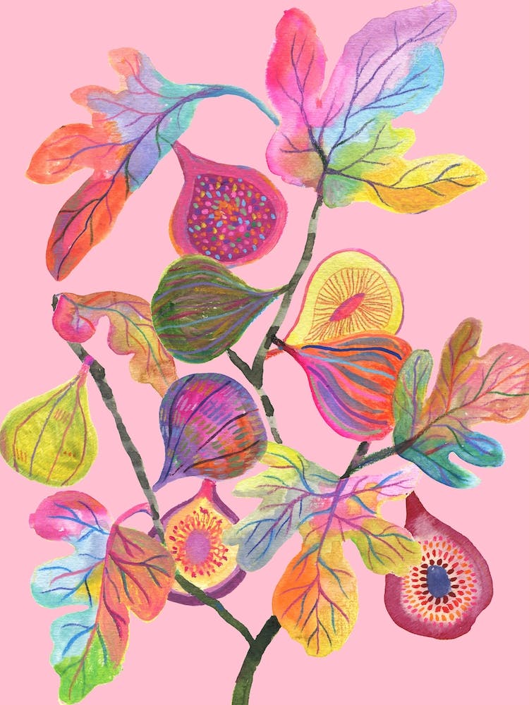 Colorful Figs Pink