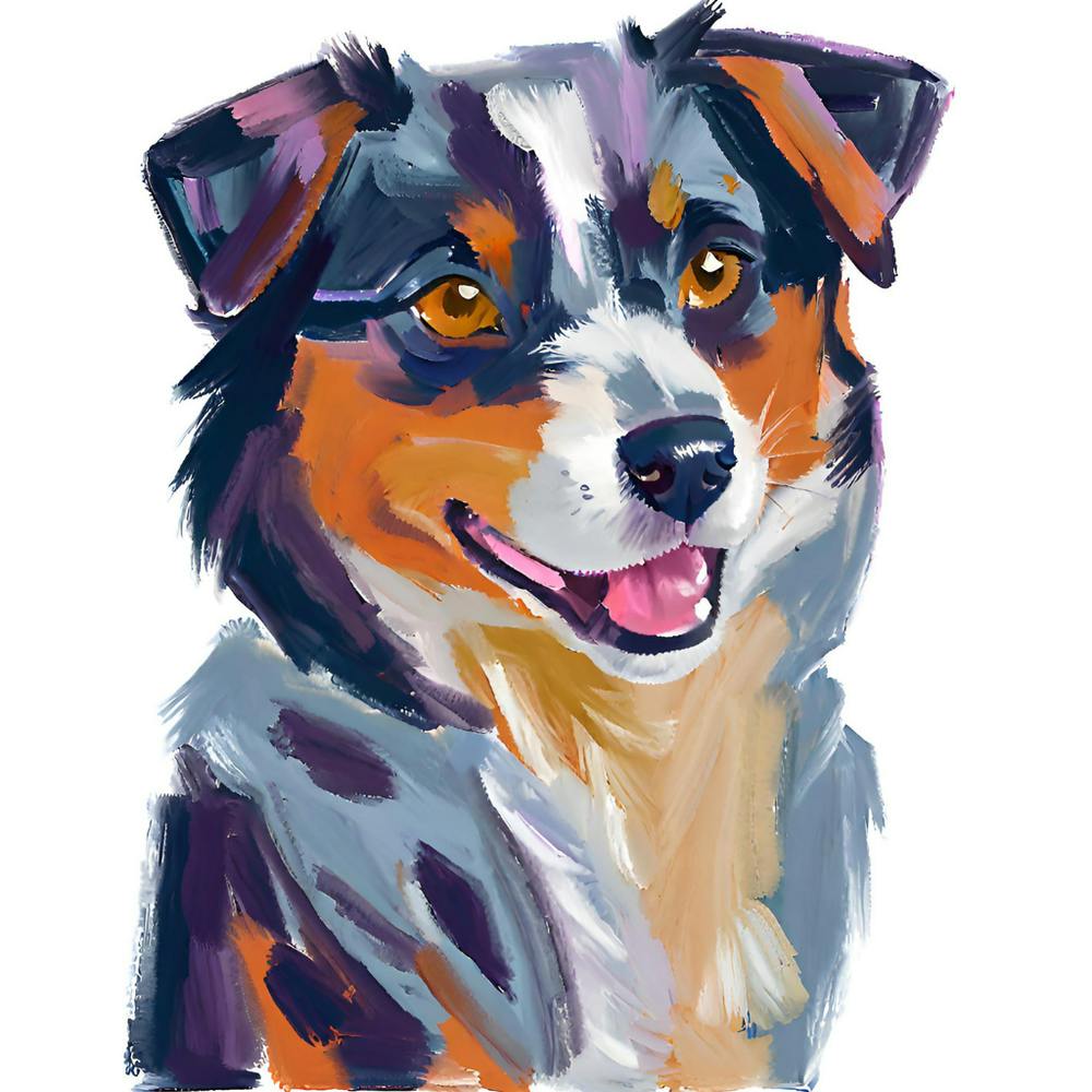 Australian Shepherd 01