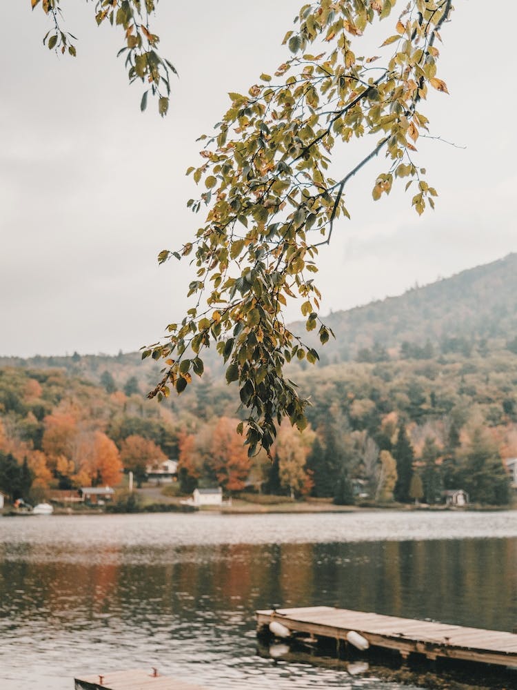 Autumn Lake Scenery