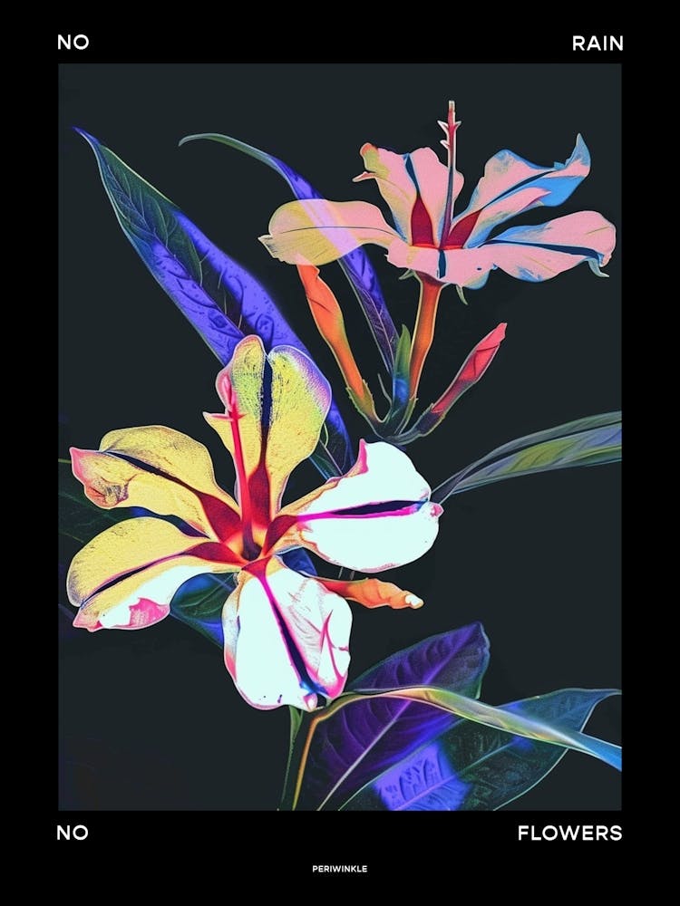 No Rain No Flowers Poster Periwinkle 3