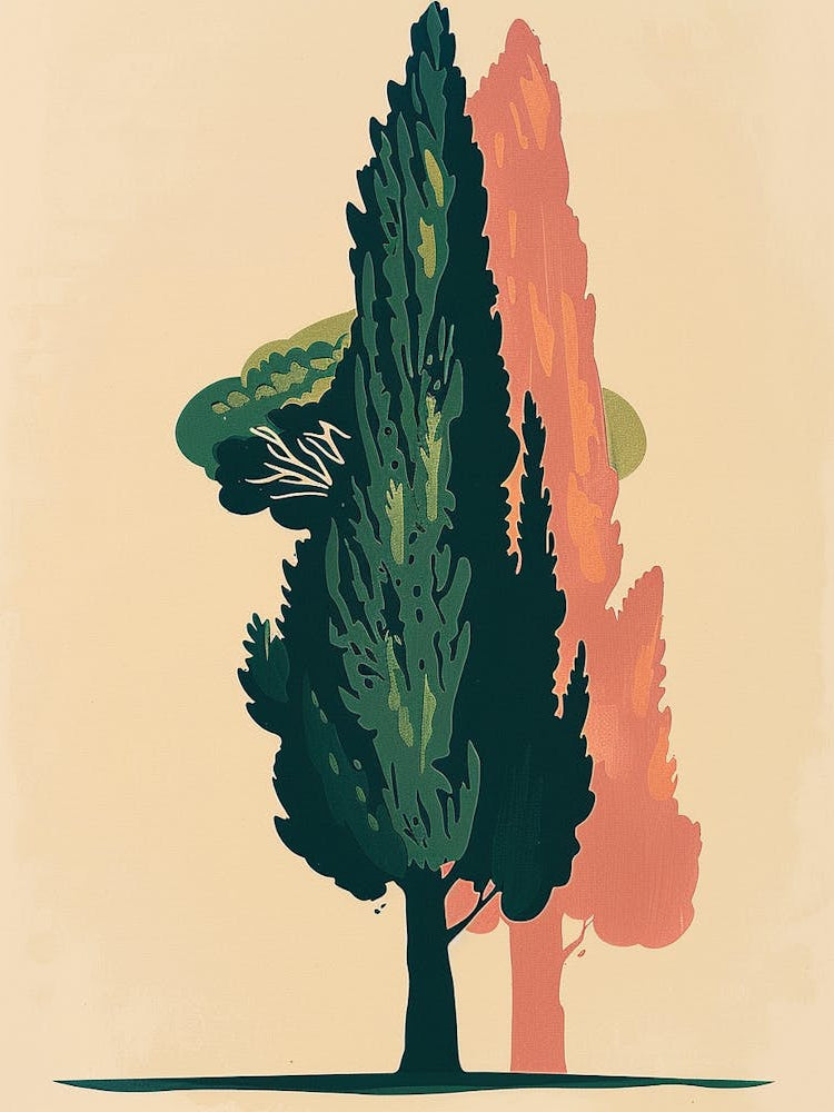 Cypress Tree Colourful Illustration 4