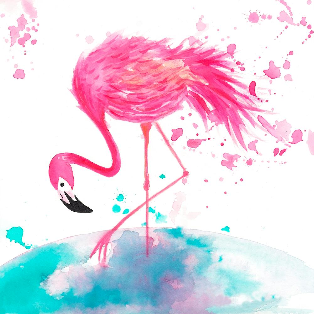 Flamingo 2